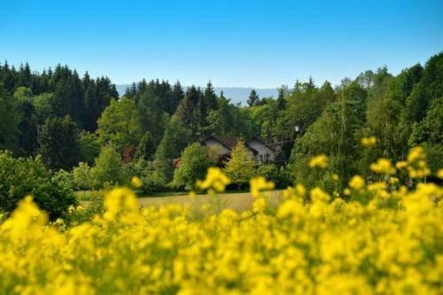 Altes Forsthaus Goseplack Hotel Hardegsen Екстериор снимка